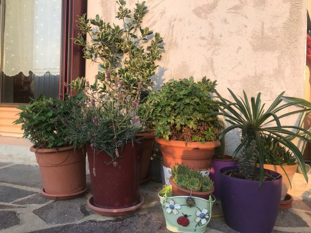 Puffele B&B Энего Экстерьер фото